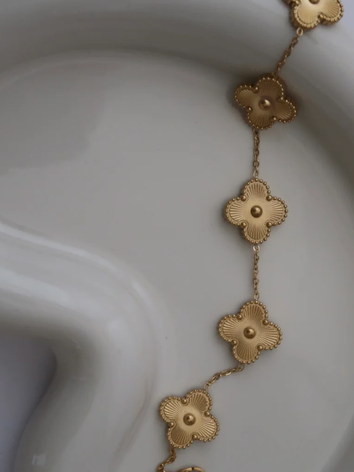 Clove - Gold