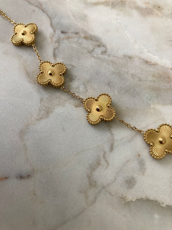 Clove - Gold